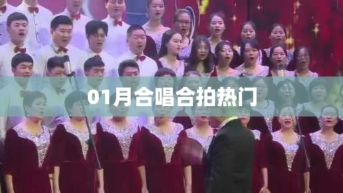 热门合唱曲目，一月合拍精选
