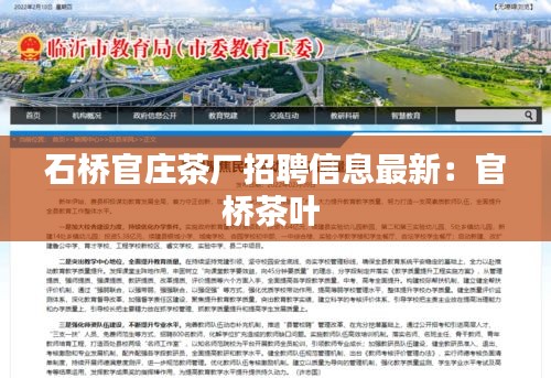 石桥官庄茶厂招聘信息最新：官桥茶叶 