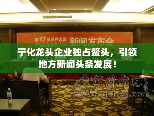 宁化龙头企业独占鳌头，引领地方新闻头条发展！