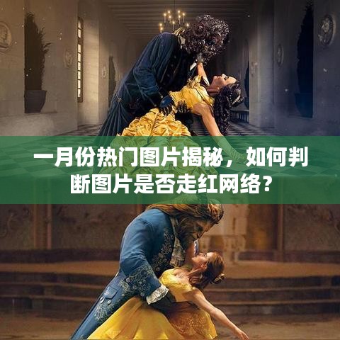 一月份网络热门图片揭秘，如何判断图片走红？