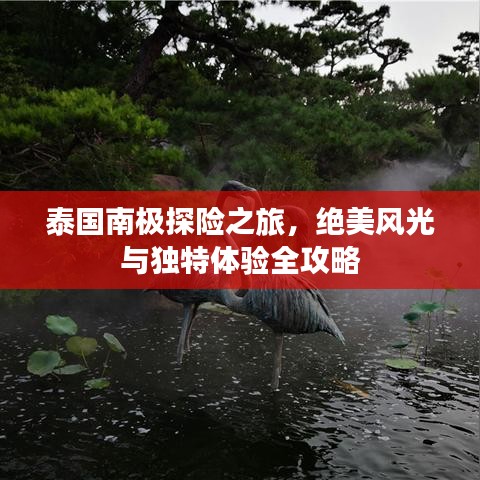 披沙拣金
