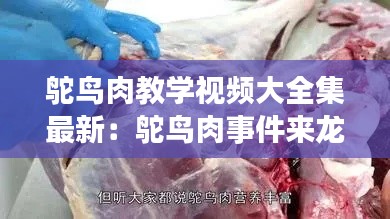 鸵鸟肉教学视频大全集最新：鸵鸟肉事件来龙去脉 