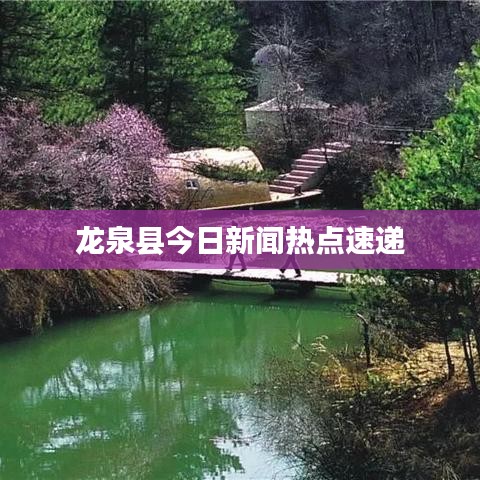 龙泉县今日新闻热点速递