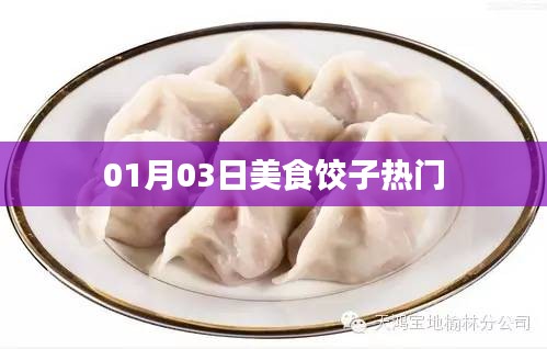 美食饺子，热门美食，不容错过！