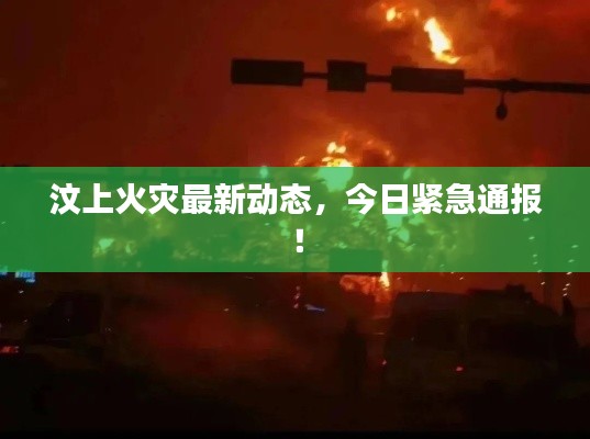 汶上火灾最新动态，今日紧急通报！