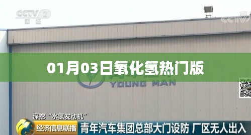 越鸟南栖