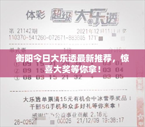 衡阳今日大乐透最新推荐，惊喜大奖等你拿！