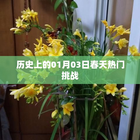 历史热门挑战，一月三日春天的故事，简洁明了，突出了历史、热门挑战以及一月三日春天的特点，希望符合您的要求。
