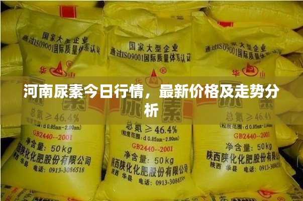 河南尿素今日行情，最新价格及走势分析