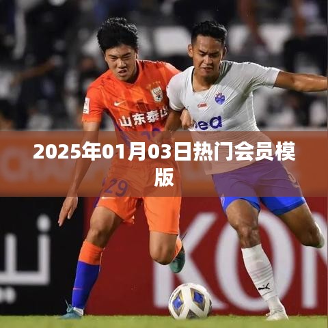 2025年热门会员模版一网打尽！
