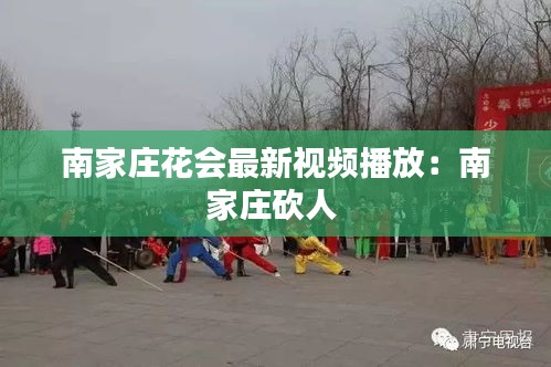 南家庄花会最新视频播放：南家庄砍人 