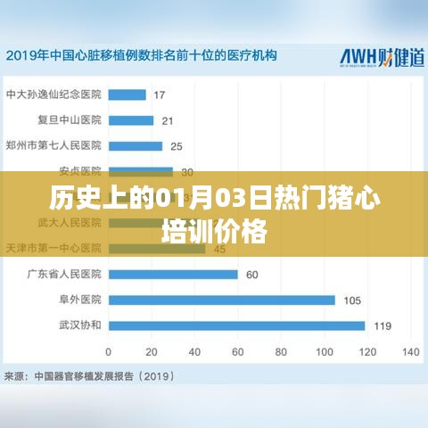 猪心培训价格历史趋势分析，热门课程一览