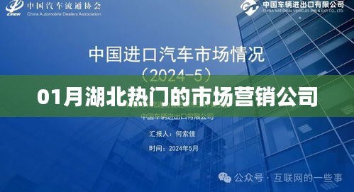 湖北一月份热门市场营销公司推荐
