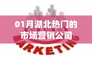 湖北一月份热门市场营销公司推荐