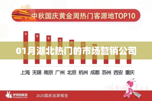 湖北一月份热门市场营销公司推荐