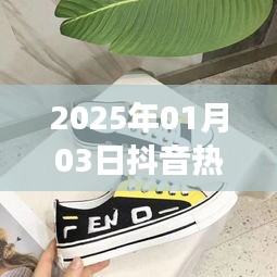 2025年抖音热门帆布鞋联名女鞋潮流趋势解析