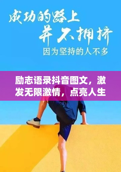 关于我们 第12页