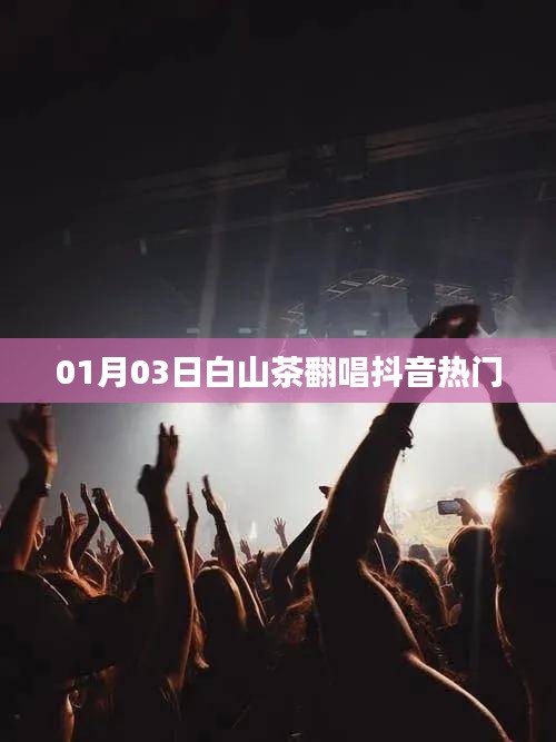 抖音热门白山茶翻唱，01月03日全新演绎