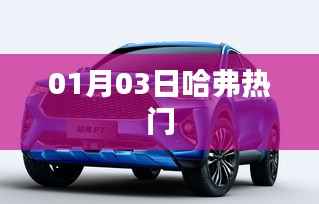 花开无言