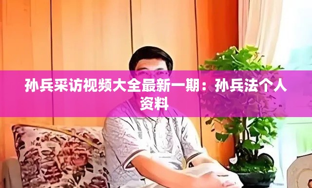 孙兵采访视频大全最新一期：孙兵法个人资料 