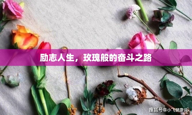 百年不遇