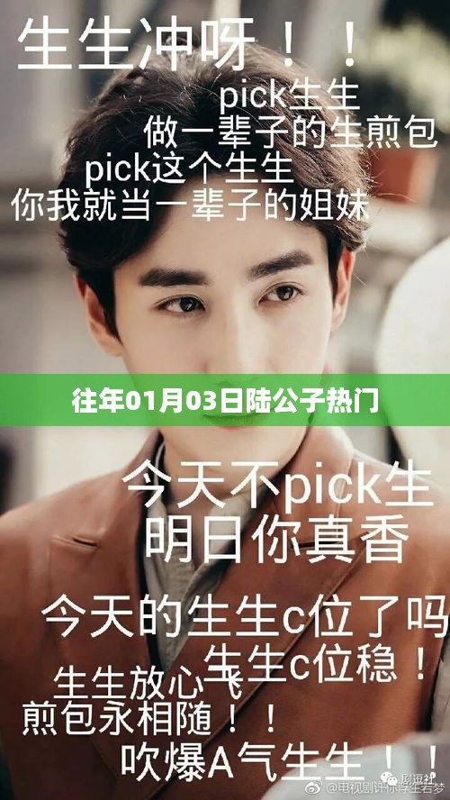 陆公子历年元旦热门事件回顾