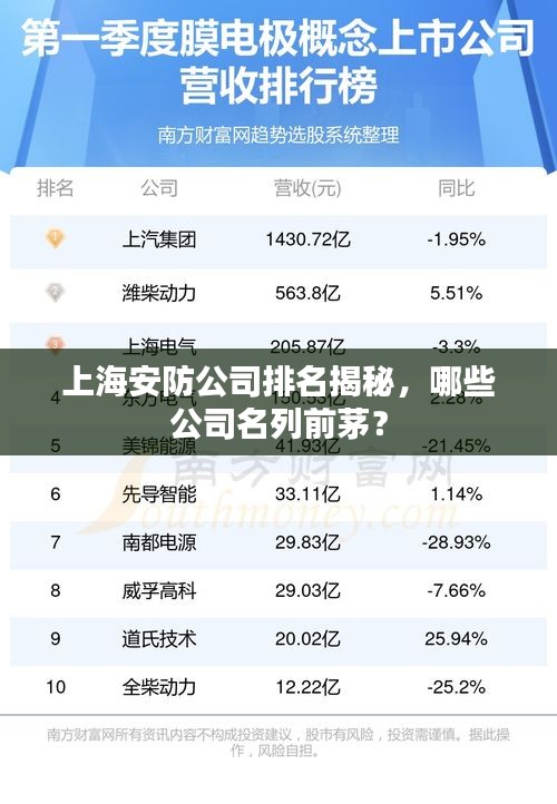 上海安防公司排名揭秘，哪些公司名列前茅？