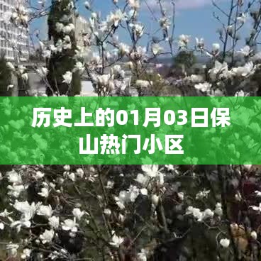 保山热门小区历史沿革，一月三日回顾