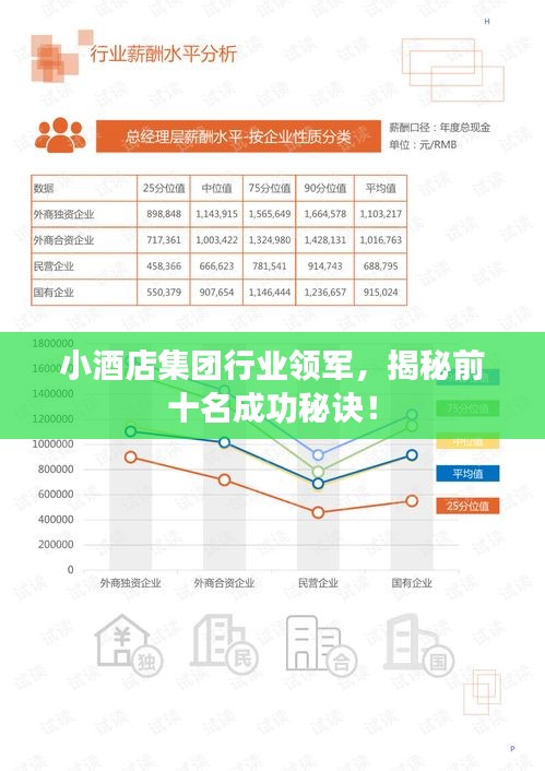 小酒店集团行业领军，揭秘前十名成功秘诀！