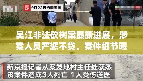 吴江非法砍树案最新进展，涉案人员严惩不贷，案件细节曝光！