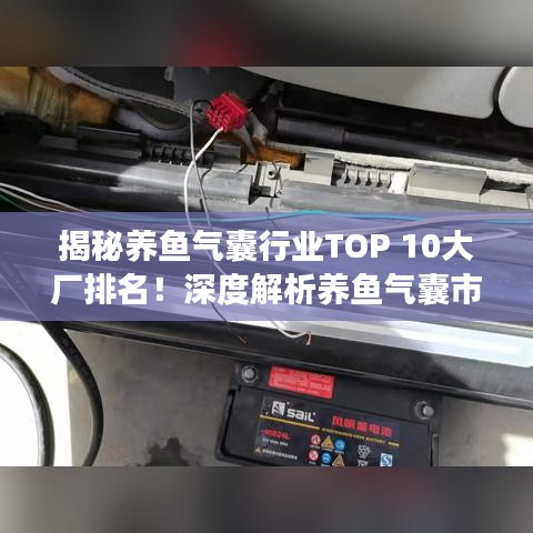揭秘养鱼气囊行业TOP 10大厂排名！深度解析养鱼气囊市场领军企业
