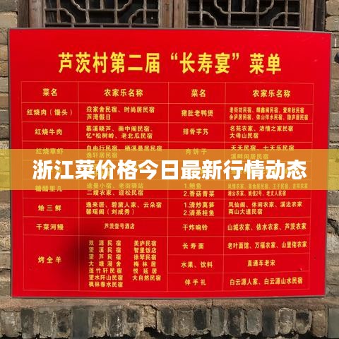 浙江菜价格今日最新行情动态