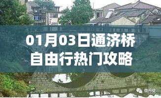 翰飞戾天