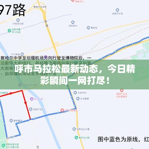 呼市马拉松最新动态，今日精彩瞬间一网打尽！
