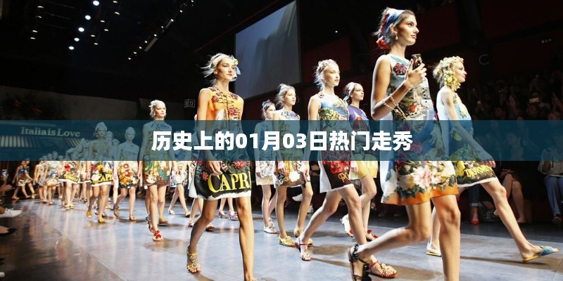 历史上的时尚盛宴，一月三日走秀盛典回顾
