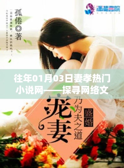 妻孝热门小说探寻，网络文学中的情感世界