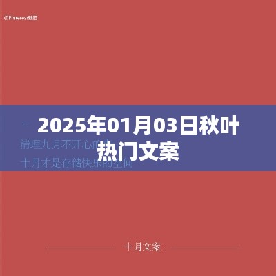秋叶纷飞时，2025年热门文案欣赏