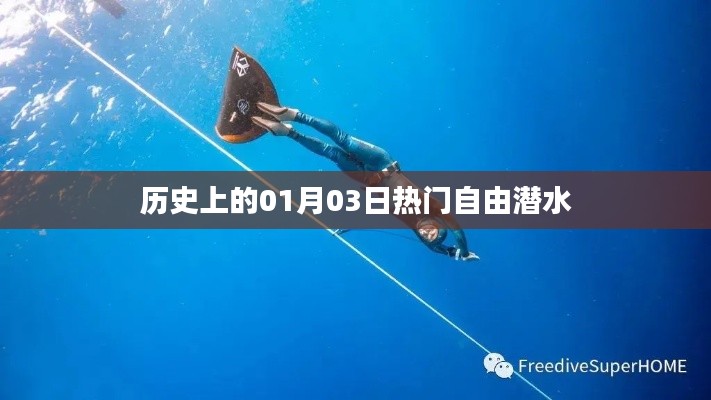 热门自由潜水揭秘，历史上的1月3日事件回顾