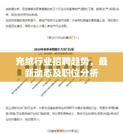 充绒行业招聘趋势，最新动态及职位分析