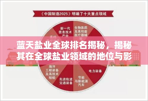 蓝天盐业全球排名揭秘，揭秘其在全球盐业领域的地位与影响力