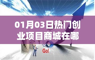 热门创业项目商城一网打尽,就在01月03日!