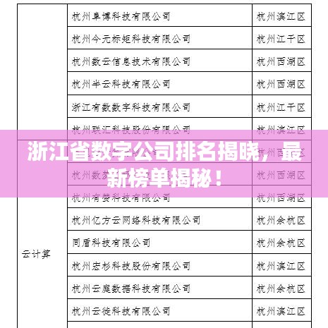 浙江省数字公司排名揭晓，最新榜单揭秘！