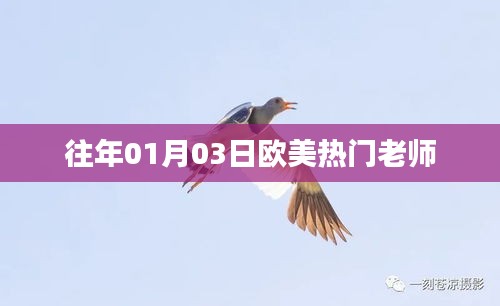 欧美热门老师盘点,历年一月三日回顾