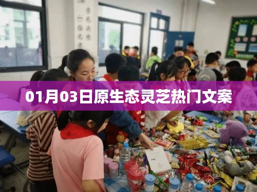 原生态灵芝魅力揭秘，热门文案精选