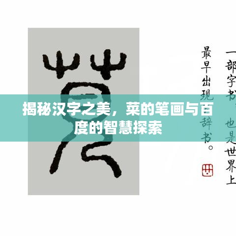 揭秘汉字之美，菜的笔画与百度的智慧探索