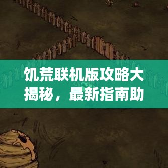 饥荒联机版攻略大揭秘，最新指南助你轻松生存！