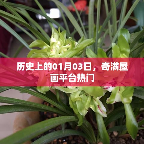 历史上的今日，奇满屋画平台热门事件揭秘