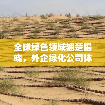 不飞则已