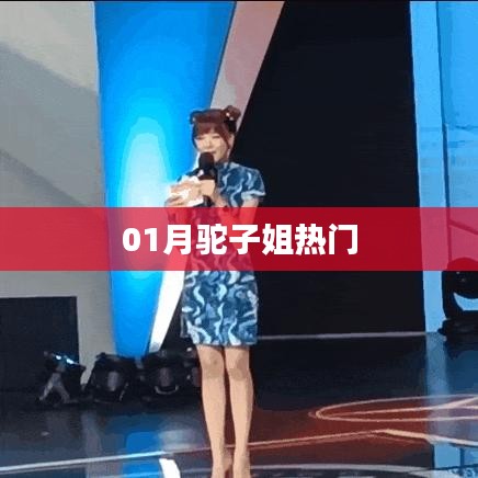 01月驼子姐话题大热