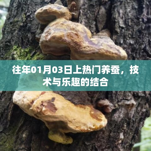 养蚕热潮来袭，技术与乐趣的完美结合